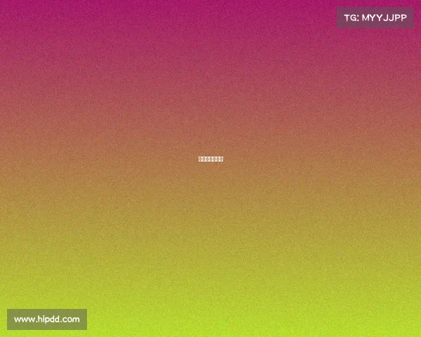 国际马术锦标赛